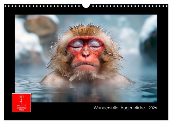 Wundervolle Augenblicke (Wandkalender 2026 DIN A3 quer), CALVENDO Monatskalender
