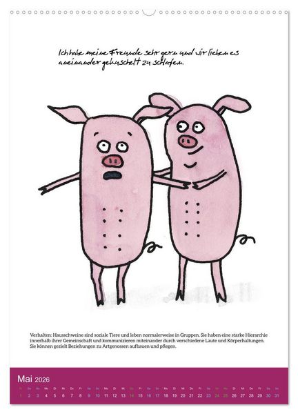 Produktbild: Schweinekalender - Alles was du &uuml;ber Schweine wissen wolltest! (hochwertiger Premium Wandkalender 2026 DIN A2 hoch), Kunstdruck in Hochglanz