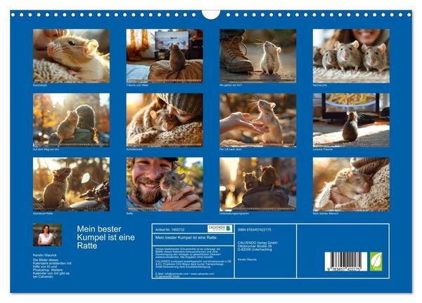 Produktbild: Mein bester Kumpel ist eine Ratte (Wandkalender 2026 DIN A3 quer), CALVENDO Monatskalender