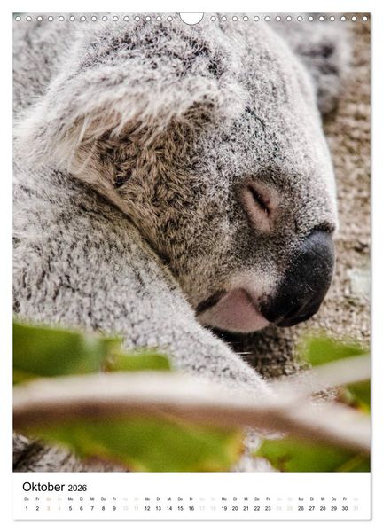 Produktbild: australian animals (Wandkalender 2026 DIN A3 hoch), CALVENDO Monatskalender