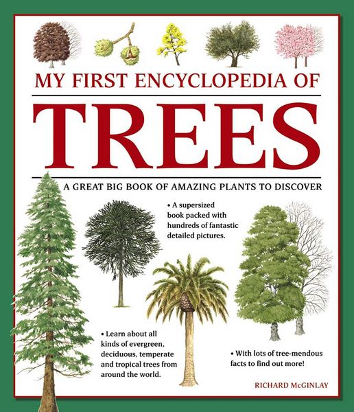 Produktbild: My First Encyclopedia of Trees
