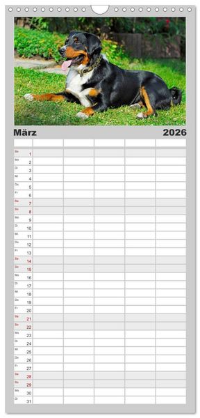 Produktbild: Familienplaner 2026 - Schweizer Sennenhunde - aus den Schweizer Alpen mit 5 Spalten (Wandkalender, 21 x 45 cm) CALVENDO
