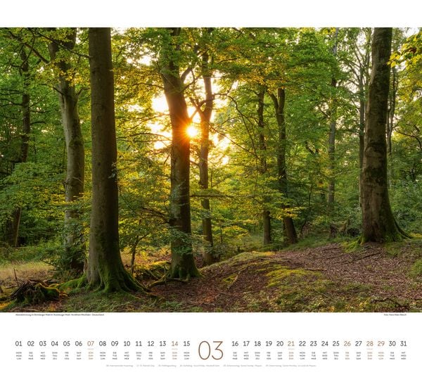 Produktbild: Wald Kalender 2027