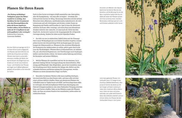 Produktbild: Gr&uuml;n in allen Farben