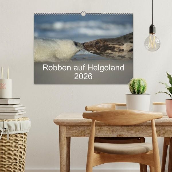 Produktbild: Robben auf Helgoland 2026 (Wandkalender 2026 DIN A3 quer), CALVENDO Monatskalender