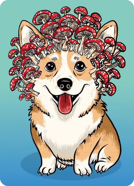 Produktbild: Minipuzzle 100 Teile - Corgi-Pilz