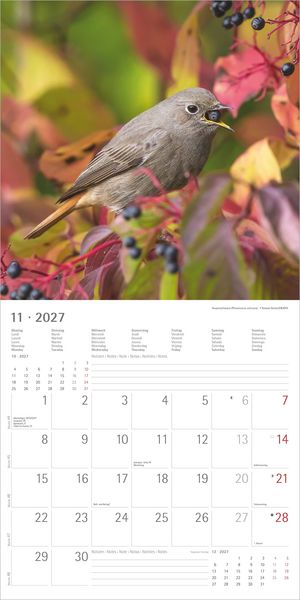 Produktbild: Einheimische V&ouml;gel 2027