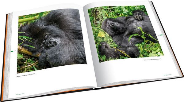 Produktbild: Perle Afrikas