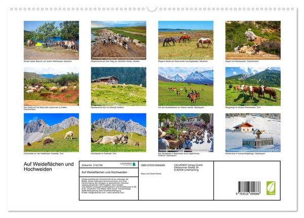 Produktbild: Auf Weidefl&auml;chen und Hochweiden (hochwertiger Premium Wandkalender 2026 DIN A2 quer), Kunstdruck in Hochglanz