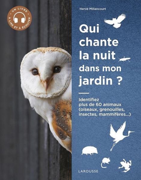 Produktbild: Qui chante la nuit dans mon jardin ?