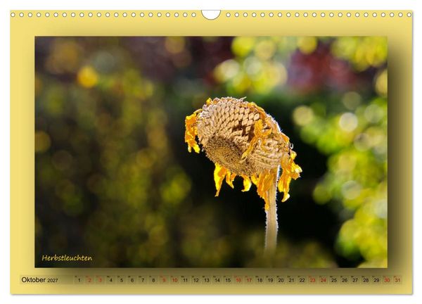 Produktbild: Foto-Art-Natur (Wandkalender 2027 DIN A3 quer), CALVENDO Monatskalender