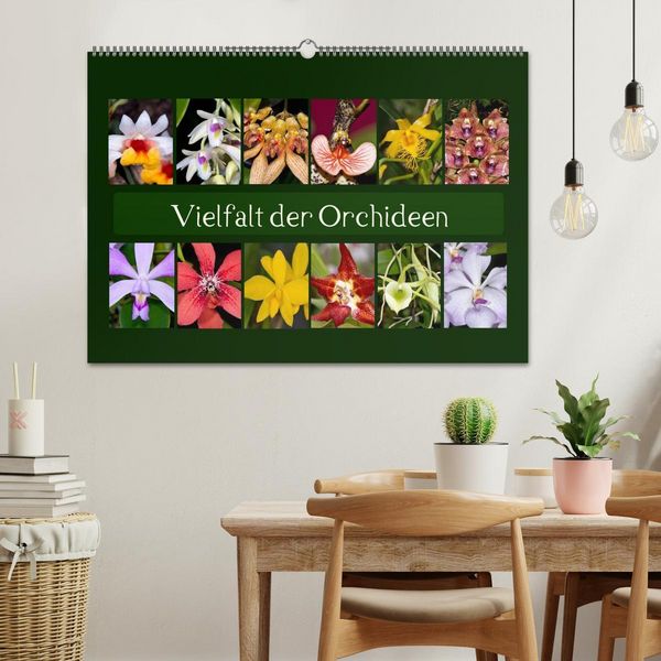 Produktbild: Vielfalt der Orchideen (Wandkalender 2026 DIN A2 quer), CALVENDO Monatskalender
