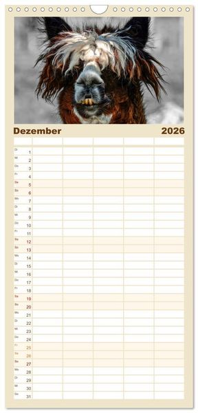 Produktbild: Familienplaner 2026 - Alpaka Gesichter mit 5 Spalten (Wandkalender, 21 x 45 cm) CALVENDO
