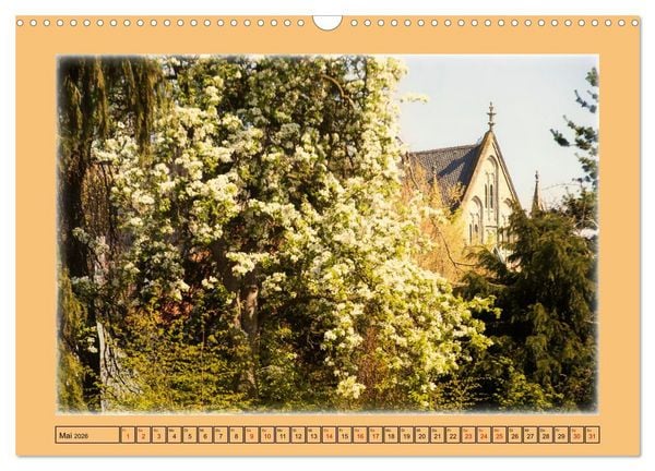 Produktbild: Gr&uuml;ne Welt DAMME (Wandkalender 2026 DIN A3 quer), CALVENDO Monatskalender