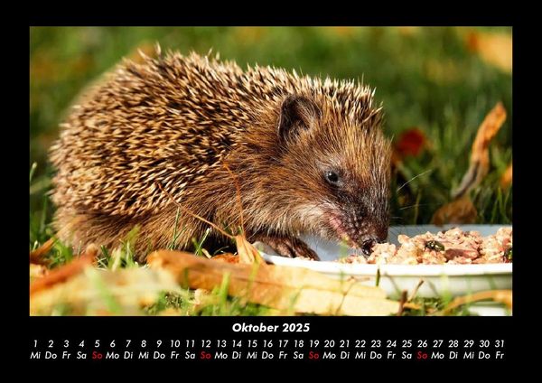 Produktbild: Tierkalender 2025 Fotokalender DIN A3