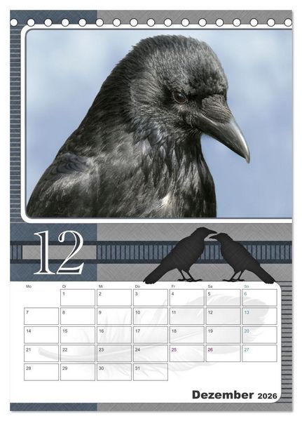 Produktbild: Kr&auml;hen - Clever notiert! Mit K&ouml;pfchen durchs ganze Jahr (Tischkalender 2026 DIN A5 hoch), CALVENDO Monatskalender