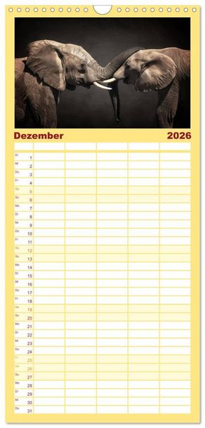 Produktbild: Familienplaner 2026 - Elefanten - Portraits der besonderen Art mit 5 Spalten (Wandkalender, 21 x 45 cm) CALVENDO