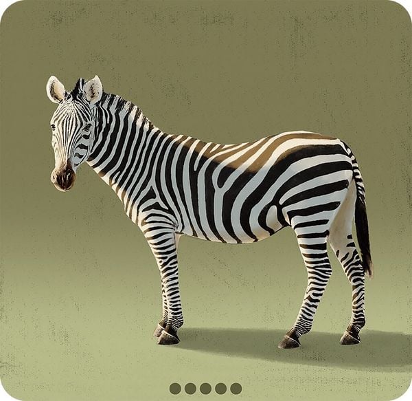 Produktbild: Blitz Zebra Astronaut
