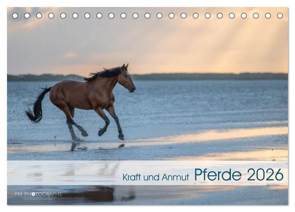 Produktbild: Pferde 2026 Kraft und Anmut (Tischkalender 2026 DIN A5 quer), CALVENDO Monatskalender