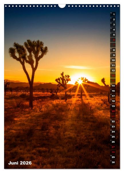 Produktbild: Impressionen aus dem JOSHUA TREE NATIONAL PARK (Wandkalender 2026 DIN A3 hoch), CALVENDO Monatskalender