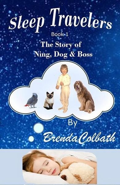 Produktbild: The Story of Ning, Dog, and Boss