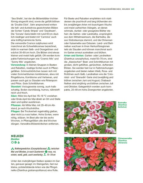 Produktbild: Das gro&szlig;e Buch der Stauden und Sommerblumen