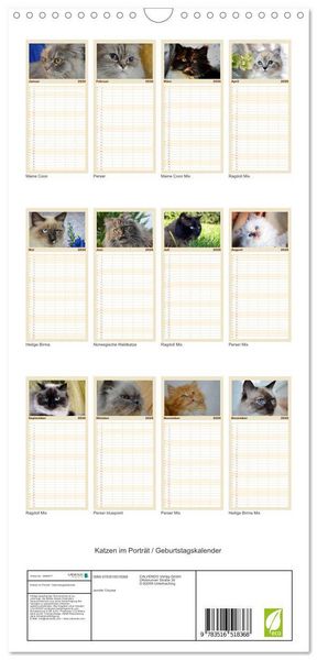 Produktbild: Familienplaner 2026 - Katzen im Portr&auml;t / Geburtstagskalender mit 5 Spalten (Wandkalender, 21 x 45 cm) CALVENDO