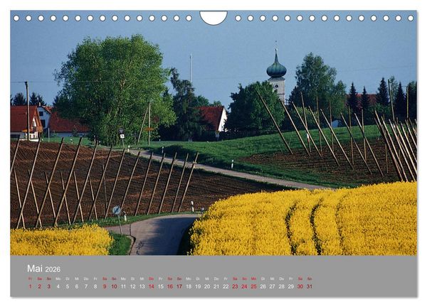 Produktbild: Hallertau (Wandkalender 2026 DIN A4 quer), CALVENDO Monatskalender