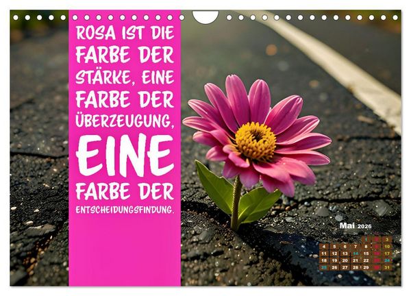 Produktbild: Lieblingsfarbe Rosa - mit coolen Spr&uuml;chen (Wandkalender 2026 DIN A4 quer), CALVENDO Monatskalender