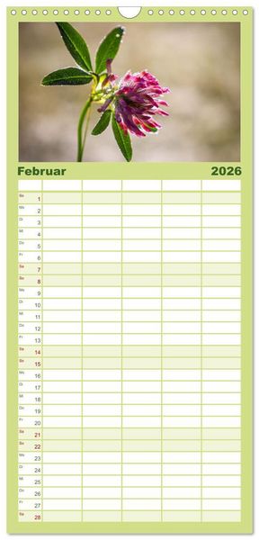 Produktbild: Familienplaner 2026 - Naturparadies Allg&auml;u - Von Oberstdorf bis F&uuml;ssen mit 5 Spalten (Wandkalender, 21 x 45 cm) CALVENDO