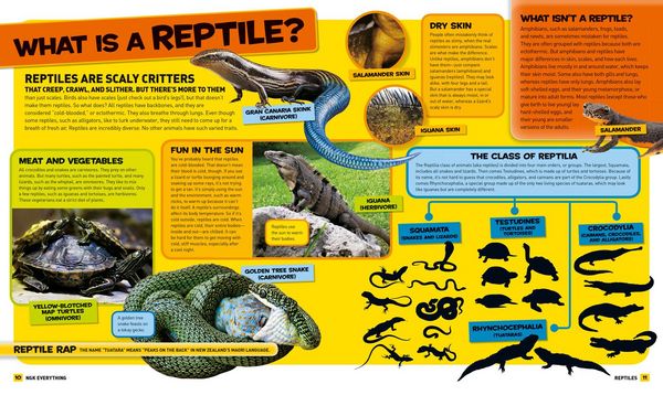 Produktbild: National Geographic Kids Everything Reptiles