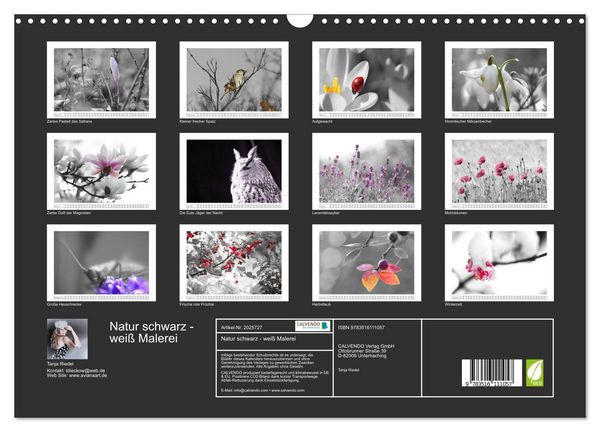 Produktbild: Natur schwarz - wei&szlig; Malerei (Wandkalender 2026 DIN A3 quer), CALVENDO Monatskalender
