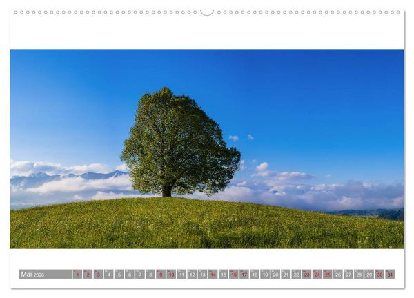 Produktbild: Oberallg&auml;u Panorama (hochwertiger Premium Wandkalender 2026 DIN A2 quer), Kunstdruck in Hochglanz