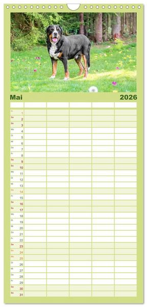 Produktbild: Familienplaner 2026 - Gro&szlig;e Schweizer - Gigantische Sennenhunde mit 5 Spalten (Wandkalender, 21 x 45 cm) CALVENDO