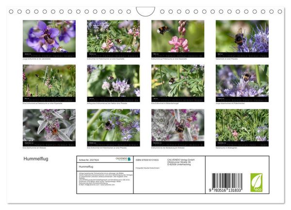 Produktbild: Hummelflug (Wandkalender 2026 DIN A4 quer), CALVENDO Monatskalender