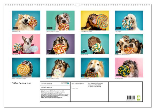 Produktbild: S&uuml;&szlig;e Schnauzen (Wandkalender 2026 DIN A2 quer), CALVENDO Monatskalender