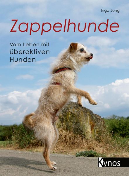 Produktbild: Zappelhunde