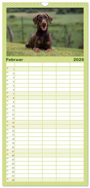 Produktbild: Familienplaner 2026 - Dobermann mit 5 Spalten (Wandkalender, 21 x 45 cm) CALVENDO