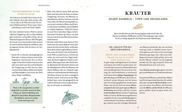 Produktbild: Zaubernuss und Waldmagie – Naturmomente für deine Seele
