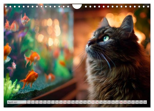 Produktbild: Katzen - Jeder Moment ein Abenteuer (Wandkalender 2027 DIN A4 quer), CALVENDO Monatskalender