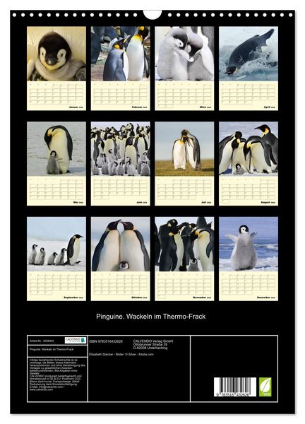 Produktbild: Pinguine. Wackeln im Thermo-Frack (Wandkalender 2026 DIN A3 hoch), CALVENDO Monatskalender