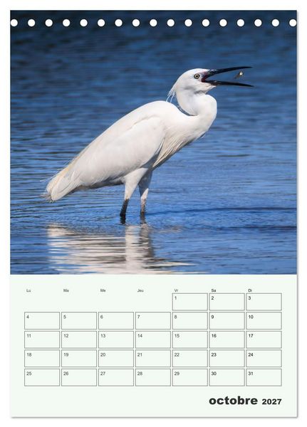 Produktbild: Voyage ornithologique (Calendrier de bureau 2027 DIN A5 horizontal), CALVENDO calendrier mensuel