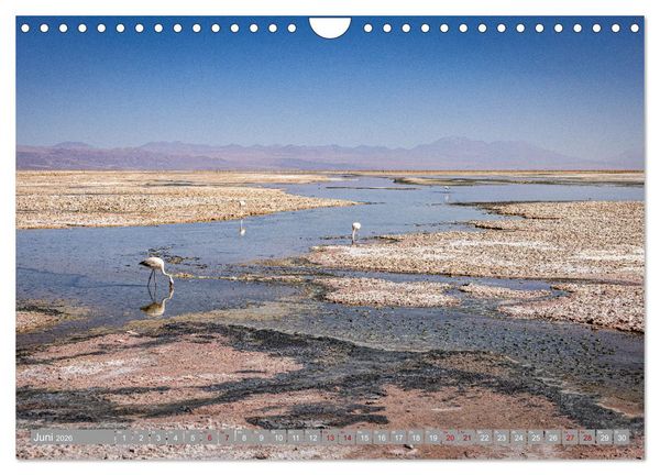 Produktbild: Chile - S&uuml;damerikas Geheimtipp im Farbrausch (Wandkalender 2026 DIN A4 quer), CALVENDO Monatskalender