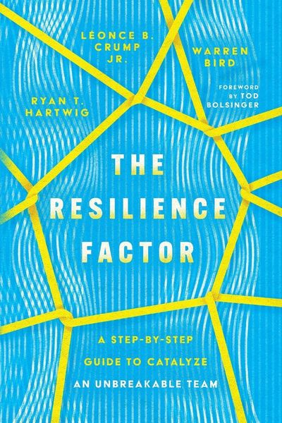 Produktbild: The Resilience Factor