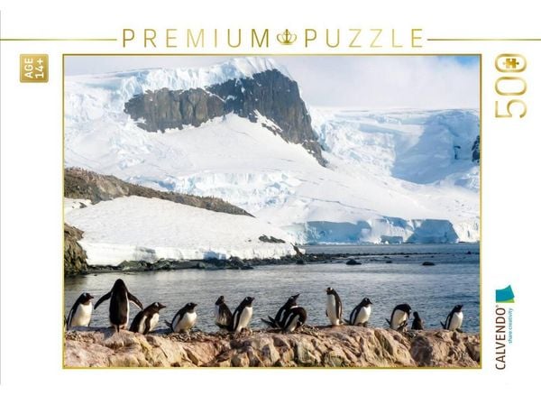 CALVENDO Puzzle Pinguin Kolonie im Naturparadies Antarktis | 500 Teile Lege-Größe 48 × 36 cm Foto-Puzzle für Erwachsene