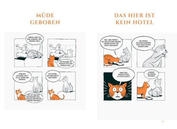 Wie Katzen ihr perfektes Personal finden