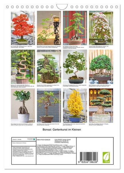 Produktbild: Bonsai: Gartenkunst im Kleinen (Wandkalender 2026 DIN A4 hoch), CALVENDO Monatskalender