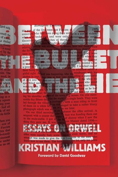 Produktbild: Between the Bullet and the Lie