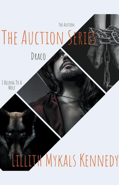 Produktbild: The Auction Series