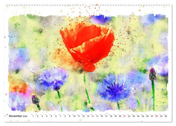 Produktbild: Mohnbl&uuml;ten in Aquarell (hochwertiger Premium Wandkalender 2026 DIN A2 quer), Kunstdruck in Hochglanz